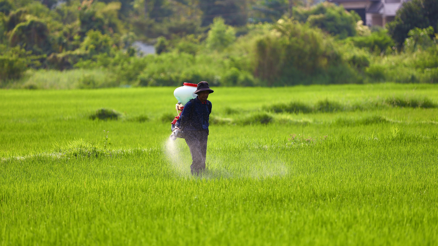 Para que é usada a monoetanolamina em agroquímicos?